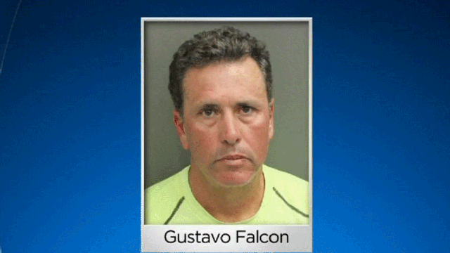 falcon.gif 