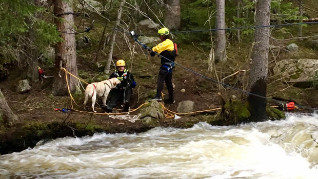 boulder creek sage dog rescue 