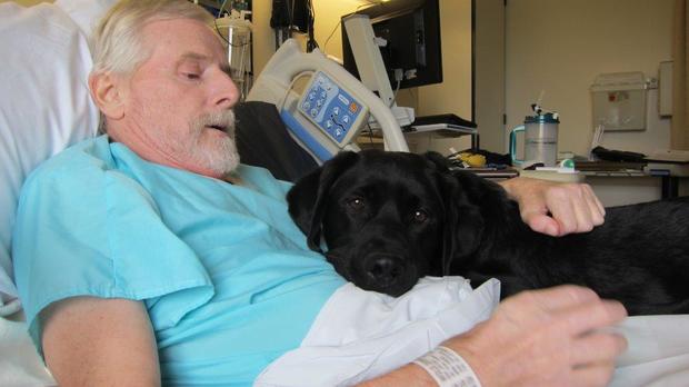 Essentia Health staff reunite patient with his service dog 