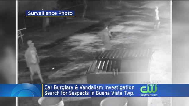 Vandalism Suspects Sought In Buena Vista Twp. 
