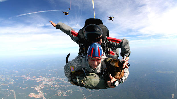 War-Dogs-Skydiving 