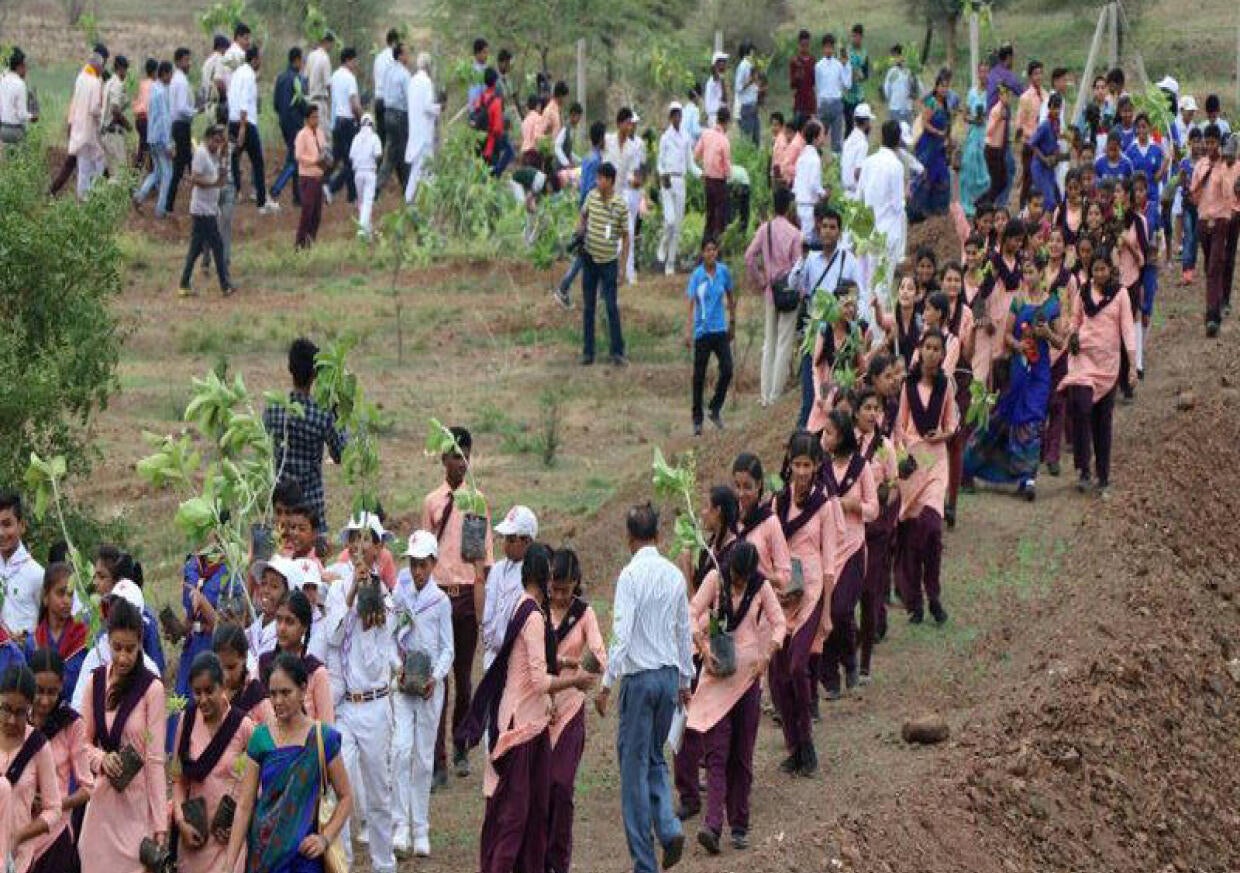 India Plants Millions Of Trees After Reaffirming Paris Agreement Pledge