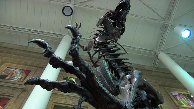tyrannosaurus-rex-1.jpg 