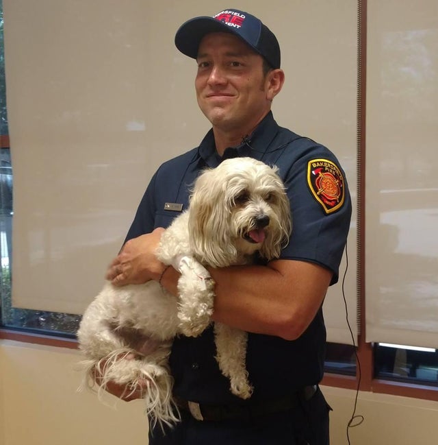 bakersfield-fire-department-dog-2017-7-21.jpg 