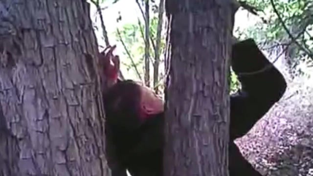 man-nailed-to-tree-albuquerque-0517.jpg 