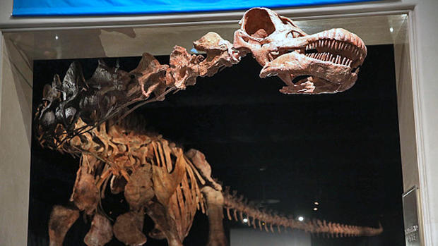 Museum Of Natural History Holds Media Preview Of New 122-Foot Dinosaur Exhibit 