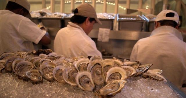 An ode to oysters