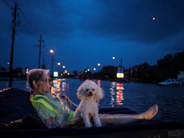A rescue helicopter hovers in the background as an elderly woman and her poodle use an air mattress to float above flood waters from Tropical Storm Harvey while waiting to be rescued from Scarsdale Boulevard in Houston 