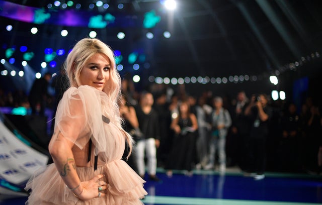 2017 MTV Video Music Awards - Red Carpet 