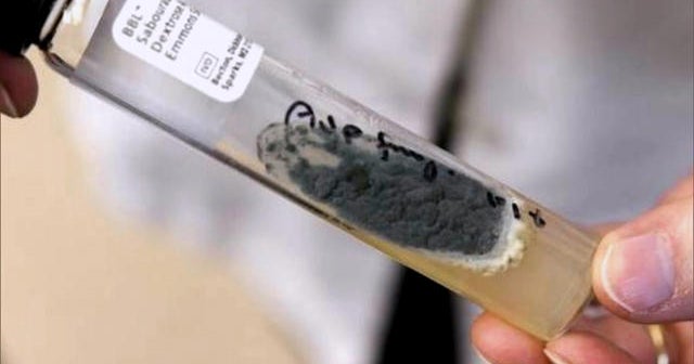 The contaminated lab that produced lethal drugs