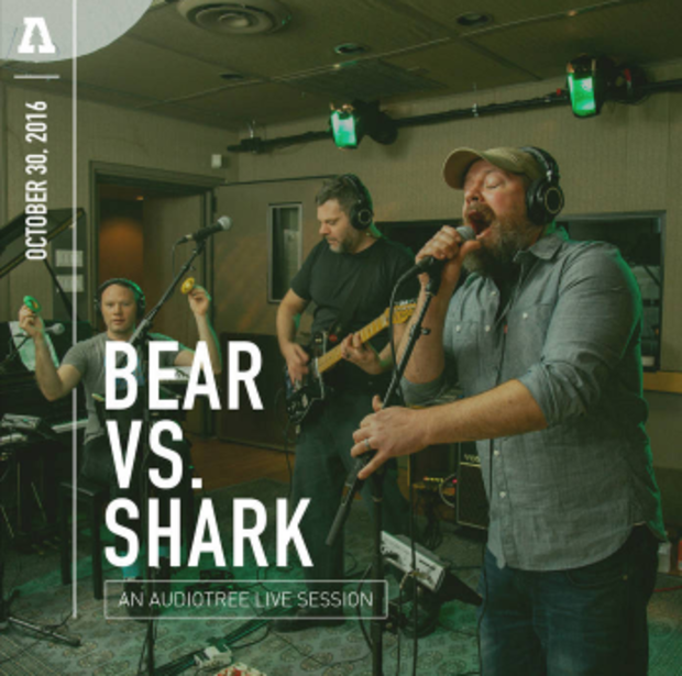 Bear vs. Shark 