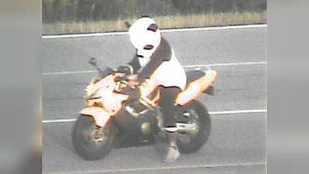 panda-motorcyclist.jpg 