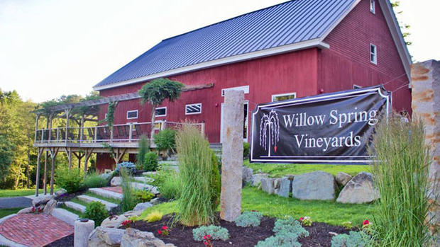 Willow Spring Vineyards 