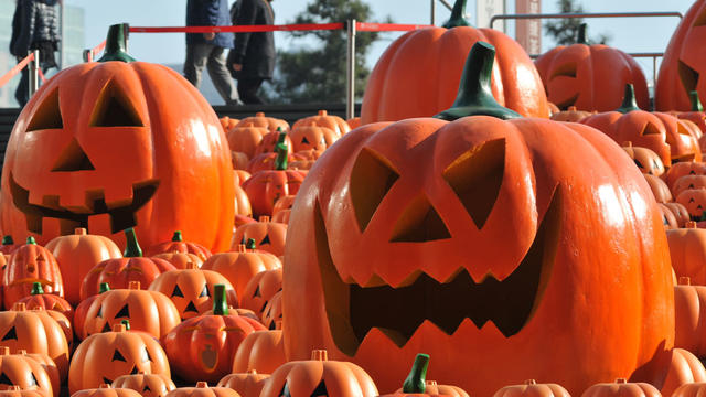 halloween-pumpkin-jack-o-lantern.jpg 