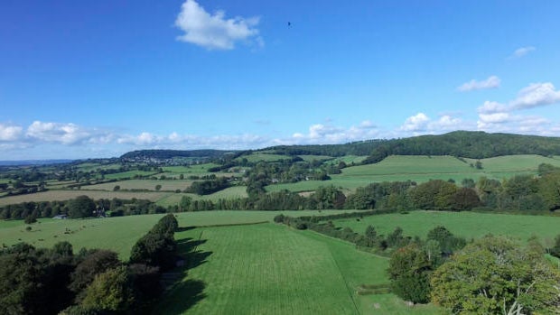 treedrone-1416919-640x360.jpg 