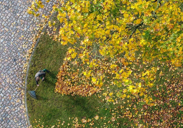 GERMANY-WEATHER-AUTUMN-FEATURE 