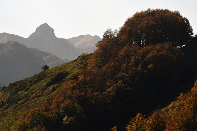 FRANCE-AUTUMN-FEATURE 