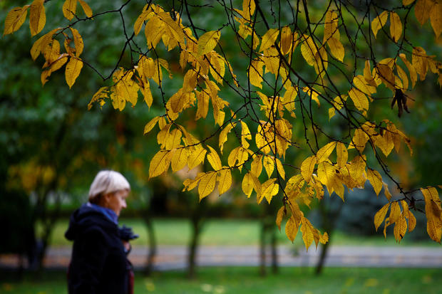 Woman walks under the trees with autumn coloured leaves in central Minsk 