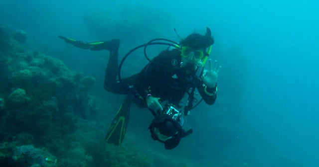 Scientists are employing new technologies to save the Great Barrier ...