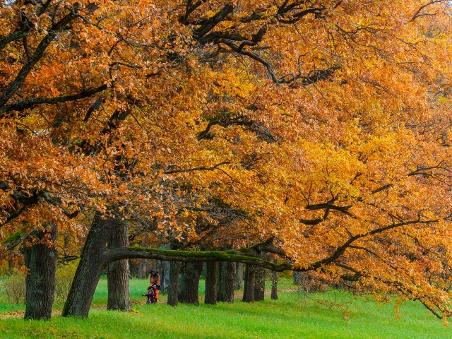 RUSSIA-WEATHER-FEATURE-AUTUMN 