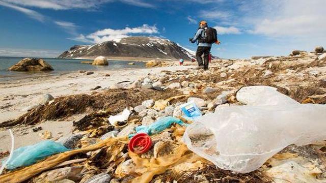 arctic-plastic-litter-picker.jpg 