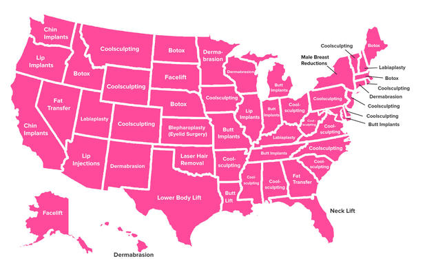 plastic surgery by state 