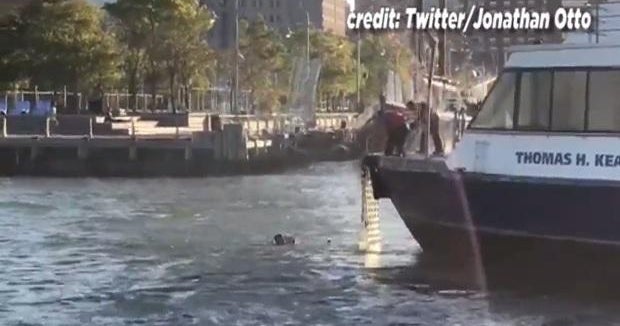 Video captures ferry crew rescuing man from river in NYC - CBS News