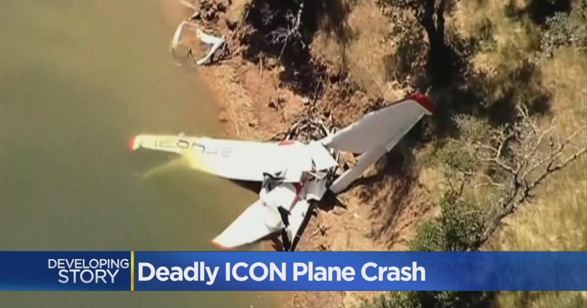 Crash That Killed Roy Halladay Puts Vacaville Plane Company In Spotlight -  CBS Sacramento
