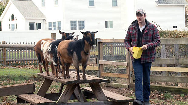 livestock sitter roosts to ranches 