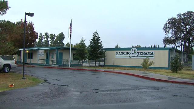 1118-satmo-caschoollockdown-yuccas-1444943-640x360.jpg 