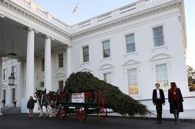 First Lady Melania Trump Receives White House Christmas Tree 