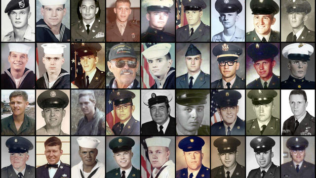 Liver Flukes Vietnam Veterans 