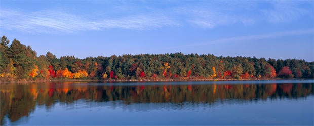 scot-miller-walden-pond-panorama-620.jpg 