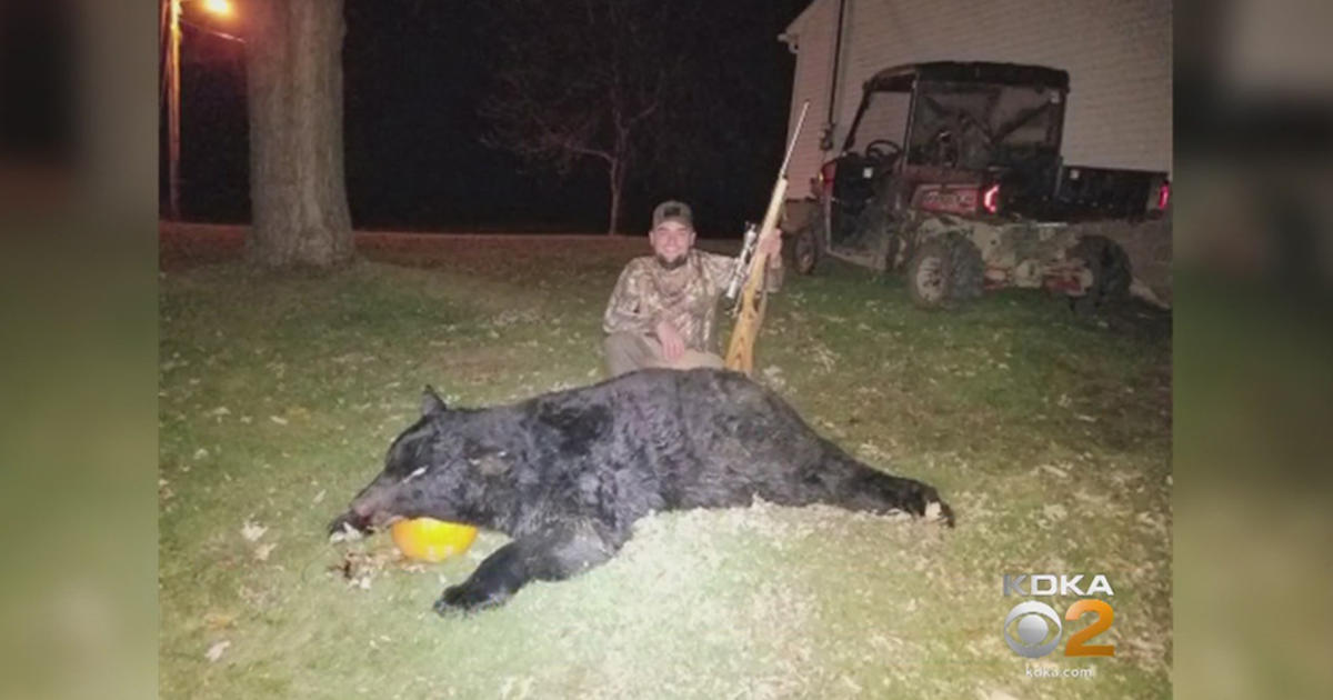 Man Bags Monster 600Pound Bear; One Of The Biggest During Current Pa