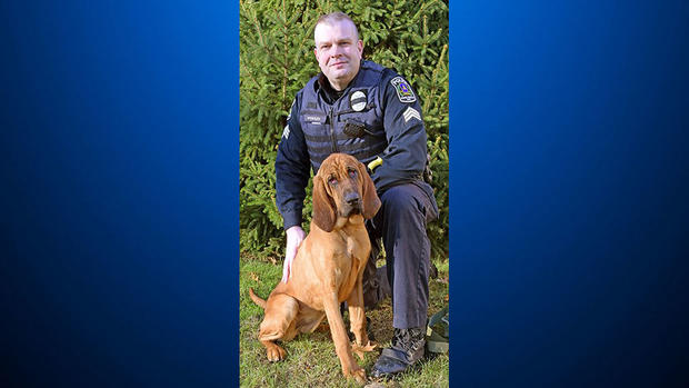 south-fayette-township-police-bloodhound 