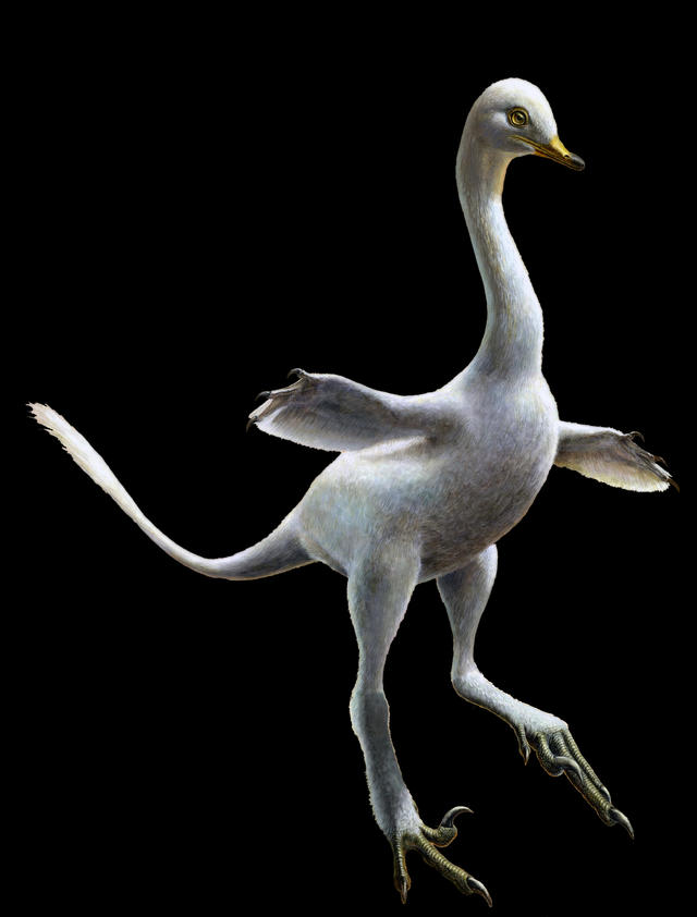 Meet Deinocheirus, Mongolia's Bizarre Dino-Duck – Max's Blogo-Saurus