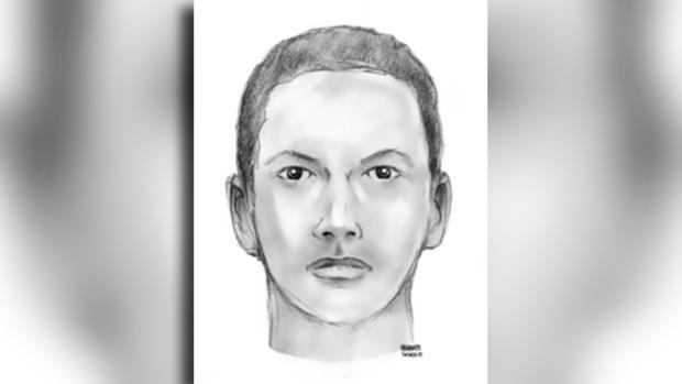 Police Release Sketch Of Teen Wanted In Attack On CUNY Professor 