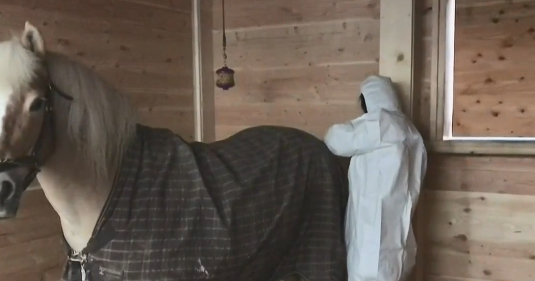 Kansas Horse Owners Are You Prepared For This Double Virus Outbreak - ruy4xgk
