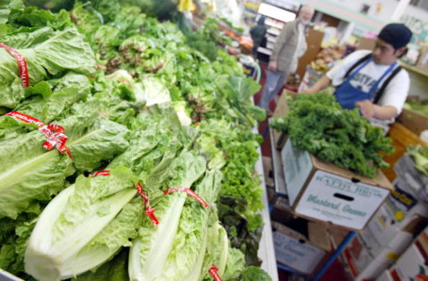 Traces Of Toxic Chemical Found In California Lettuce 