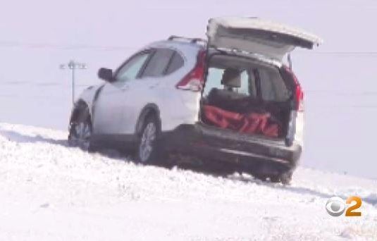 Man found with mom's body in SUV after police chase charged with murder ...