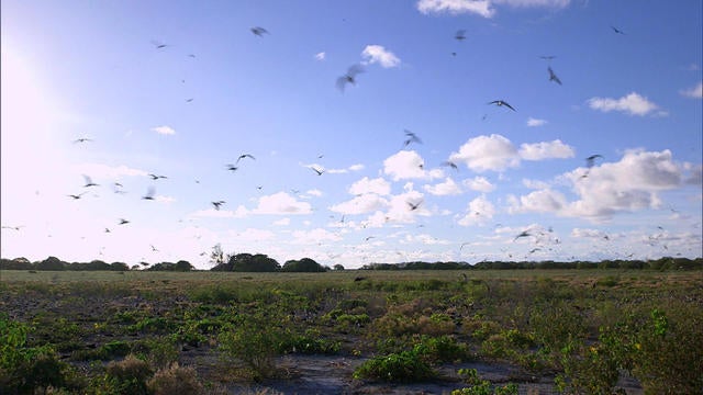 0114-sunmo-islandhoppingwakeatoll-1481625-640x360.jpg 