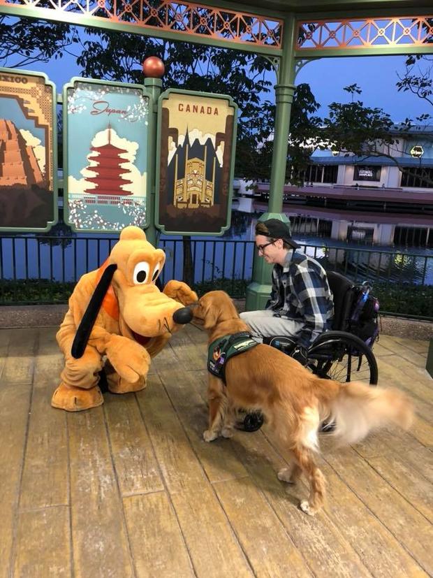 Disney Service Dog 