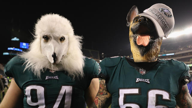 eagles-dogs.jpg 