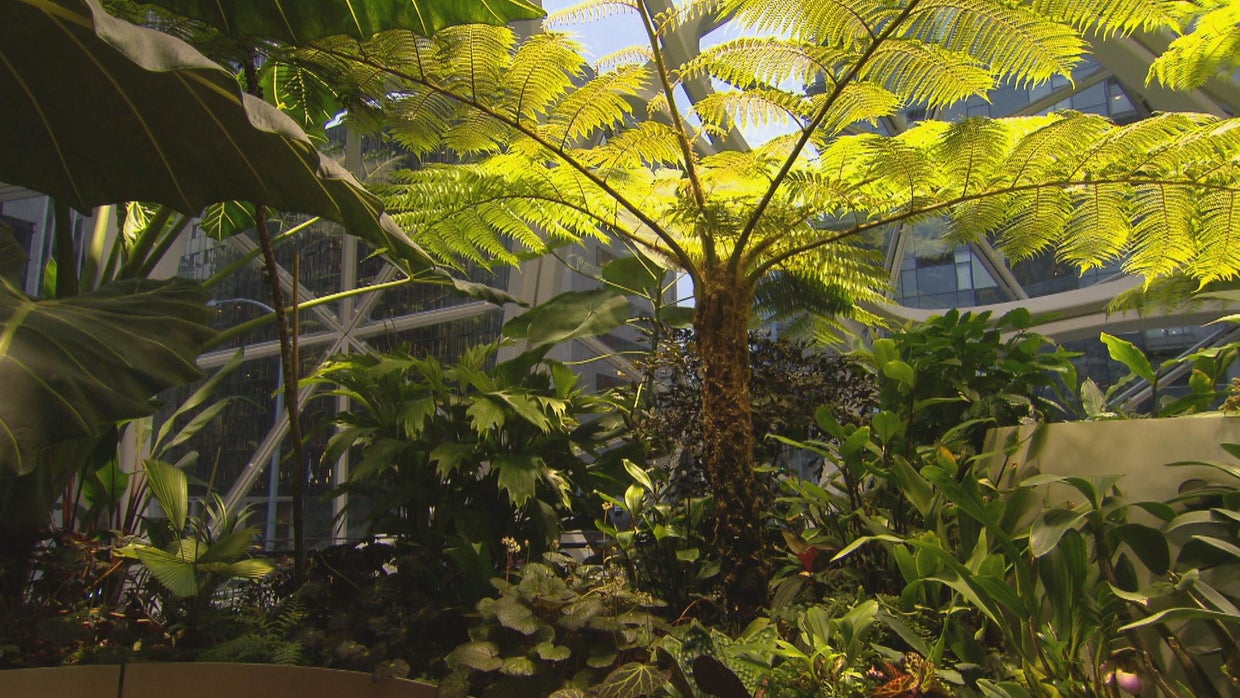 yuccas-teases-and-headline-material-frame-9907.jpg 