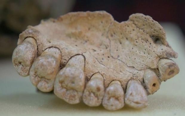 Scientists believe a fossil found in Israel might indicate humans left Africa earlier than previously believed. 