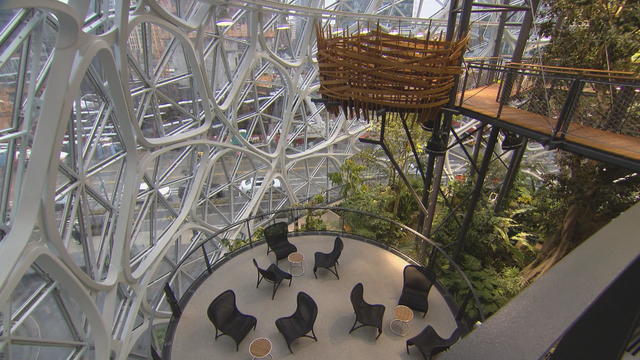 You Can T Be Afraid To Think Big Inside Amazon S Spheres Cbs News