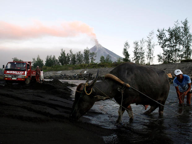 Resident and his water buffalo walk at river while Mayon volcano spews ash in Guniobatan 