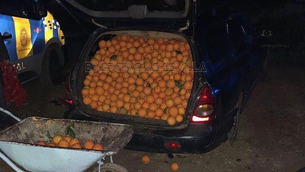 Oranges in Cars 
