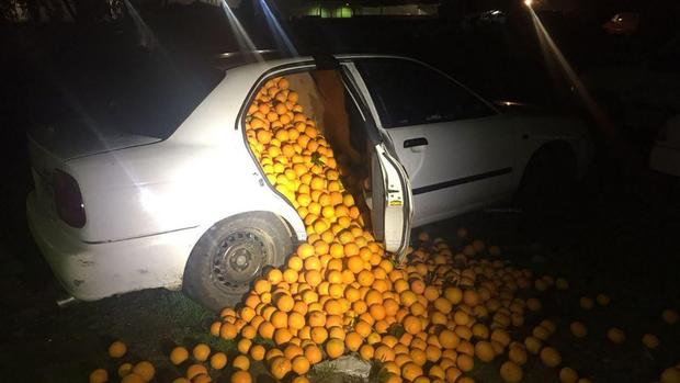 Oranges in Cars 
