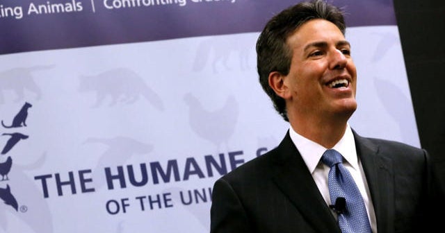 Humane Society board members resign amid CEO allegations - CBS News
